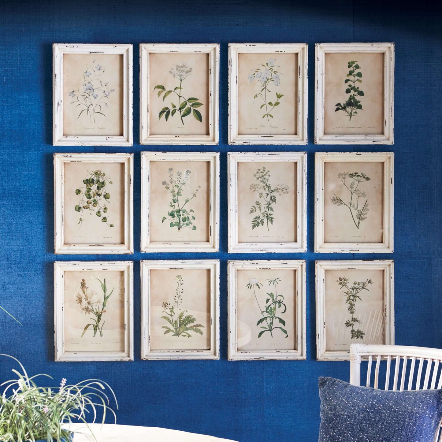 Botanical Flower Prints in Distressed White Frames (Set of 12)