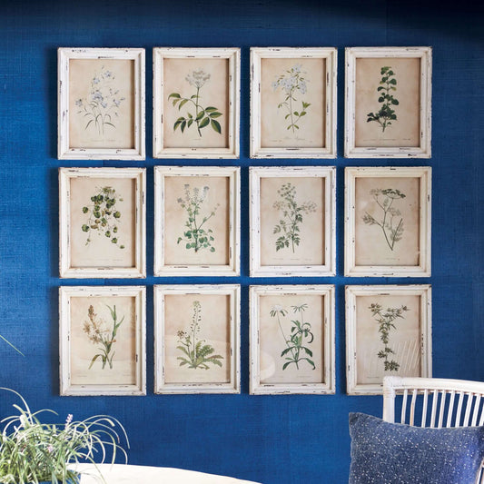 Botanical Flower Prints in Distressed White Frames (Set of 12)